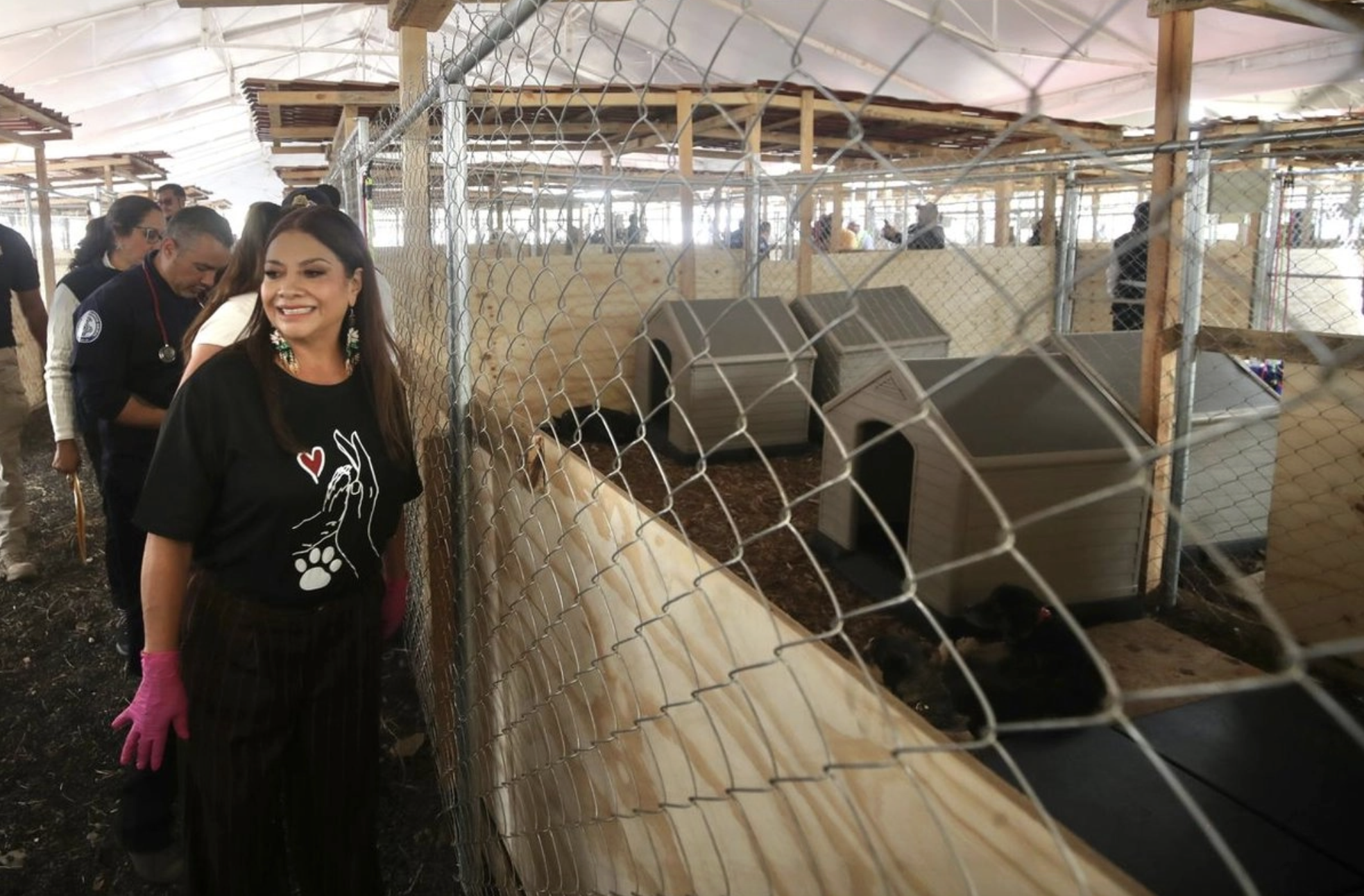 Anuncian traslado gradual de perros rescatados del Refugio Franciscano a la BVA