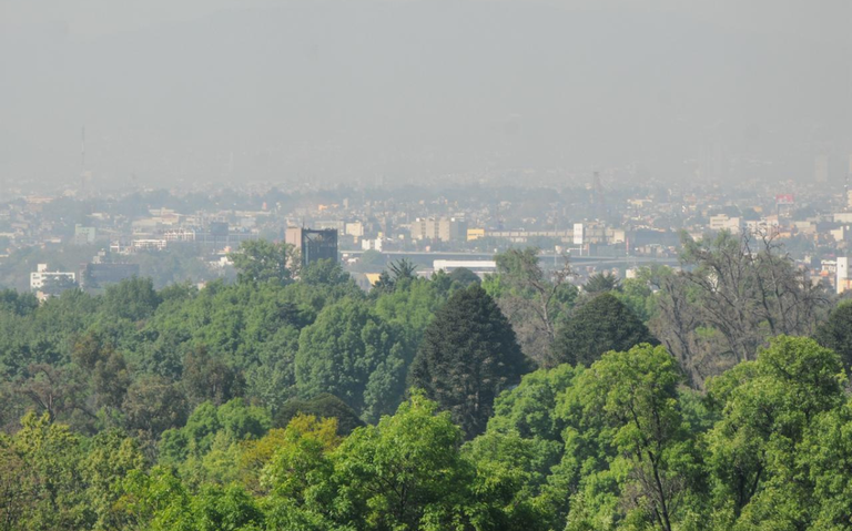 Contingencia ambiental activa: vehículos afectados por el doble Hoy No Circula