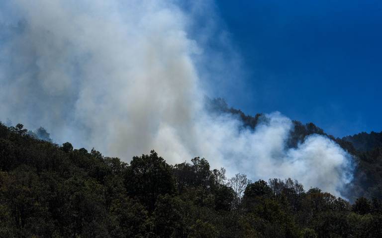 Incendios Forestales Impactan en 20 Reservas Ecológicas Nacionales