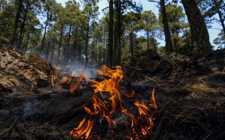 Doce incendios activos en el Estado de México siguen sin control