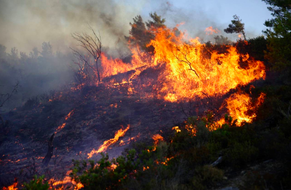Incendios forestales llegan a las afueras de Atenas 