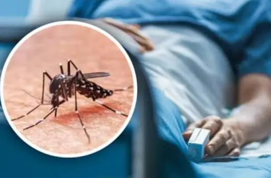 México suma 3 mil 884 casos de dengue; 29 estados ya registran contagios