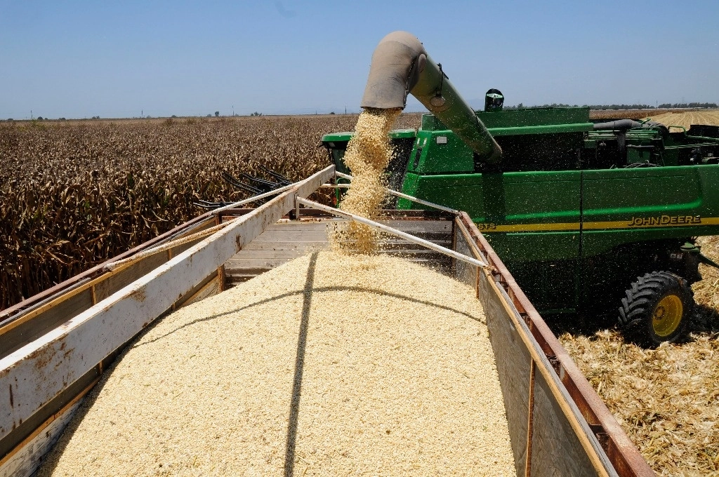 Estancamiento en la producción agrícola de México desde la entrada del T-MEC
