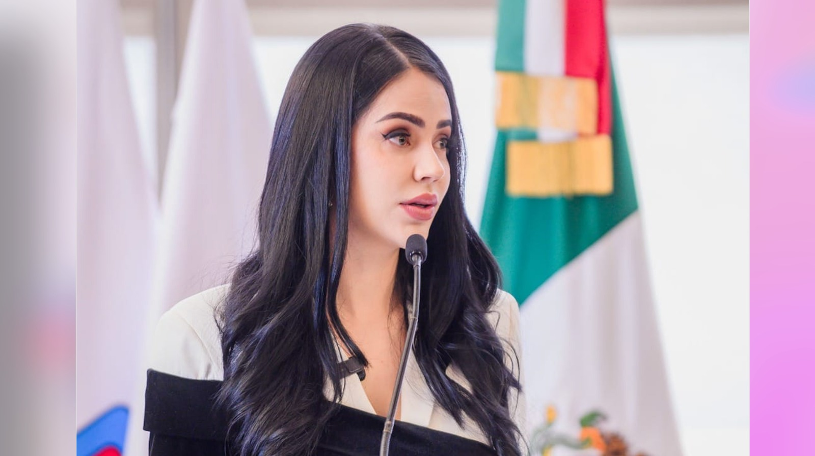 Cristal Pelayo reflexiona sobre la estética en el espacio público en su columna para El Universal 