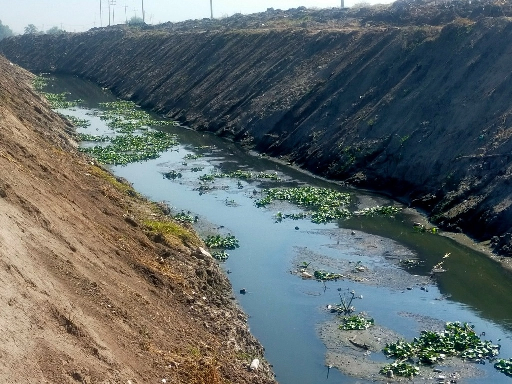 Laguna de Zumpango: recuperación y proyectos para el futuro