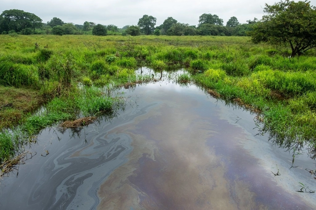 Denuncian inacción de autoridades ante contaminación en Ocotlán