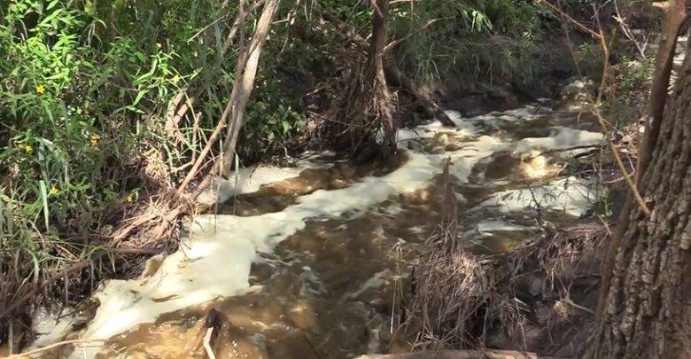 Contaminación por vinazas en Jalisco afecta ecosistemas locales