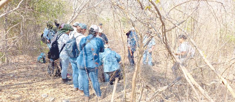 En Colima, localizan 20 fosas clandestinas; exhuman 22 cuerpos